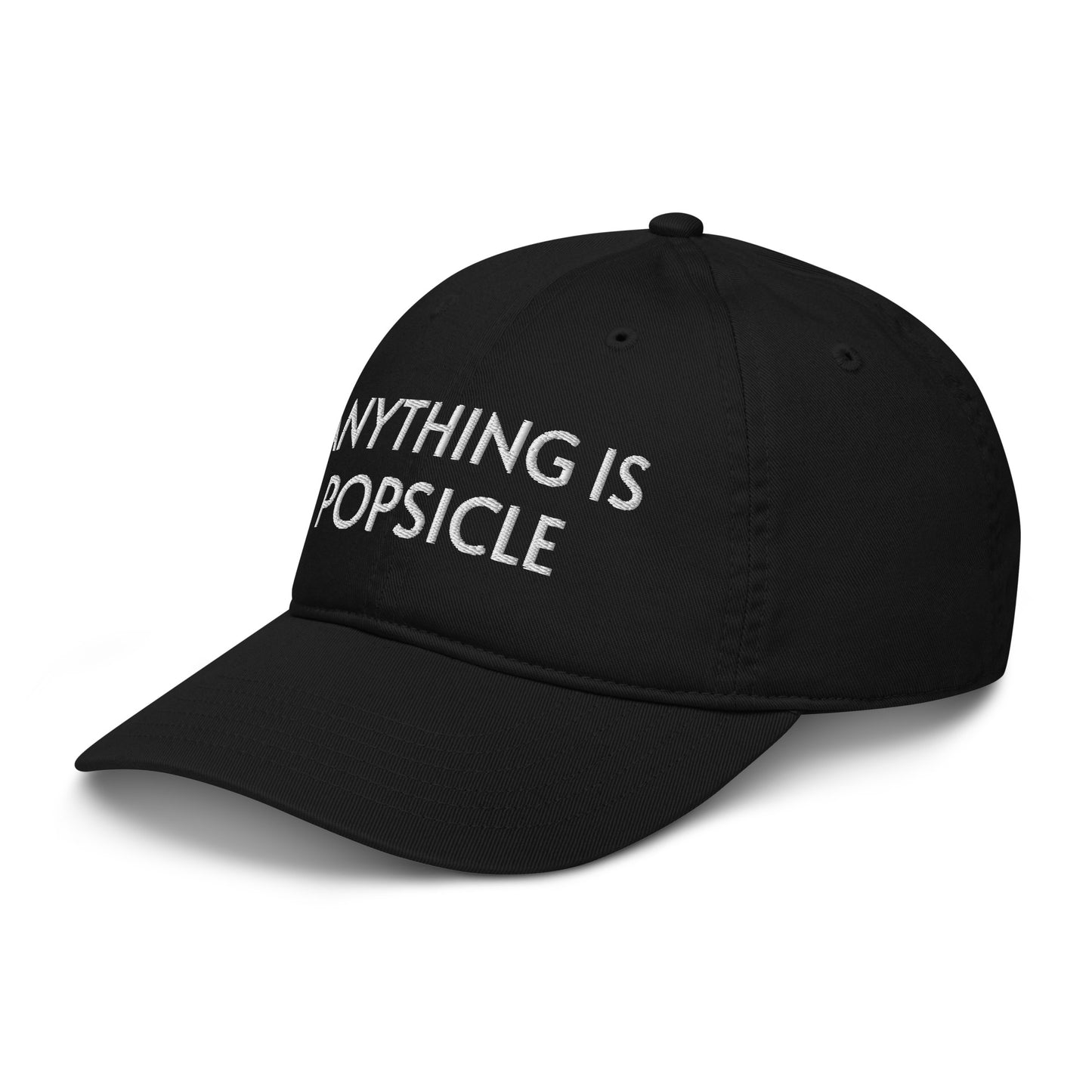 ANYTHING IS POPSICLE ORGANIC HAT