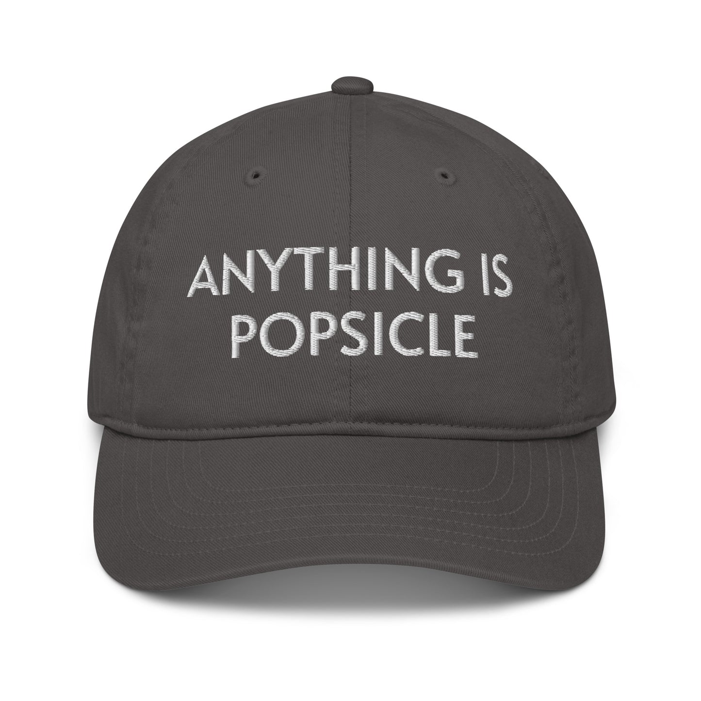 ANYTHING IS POPSICLE ORGANIC HAT