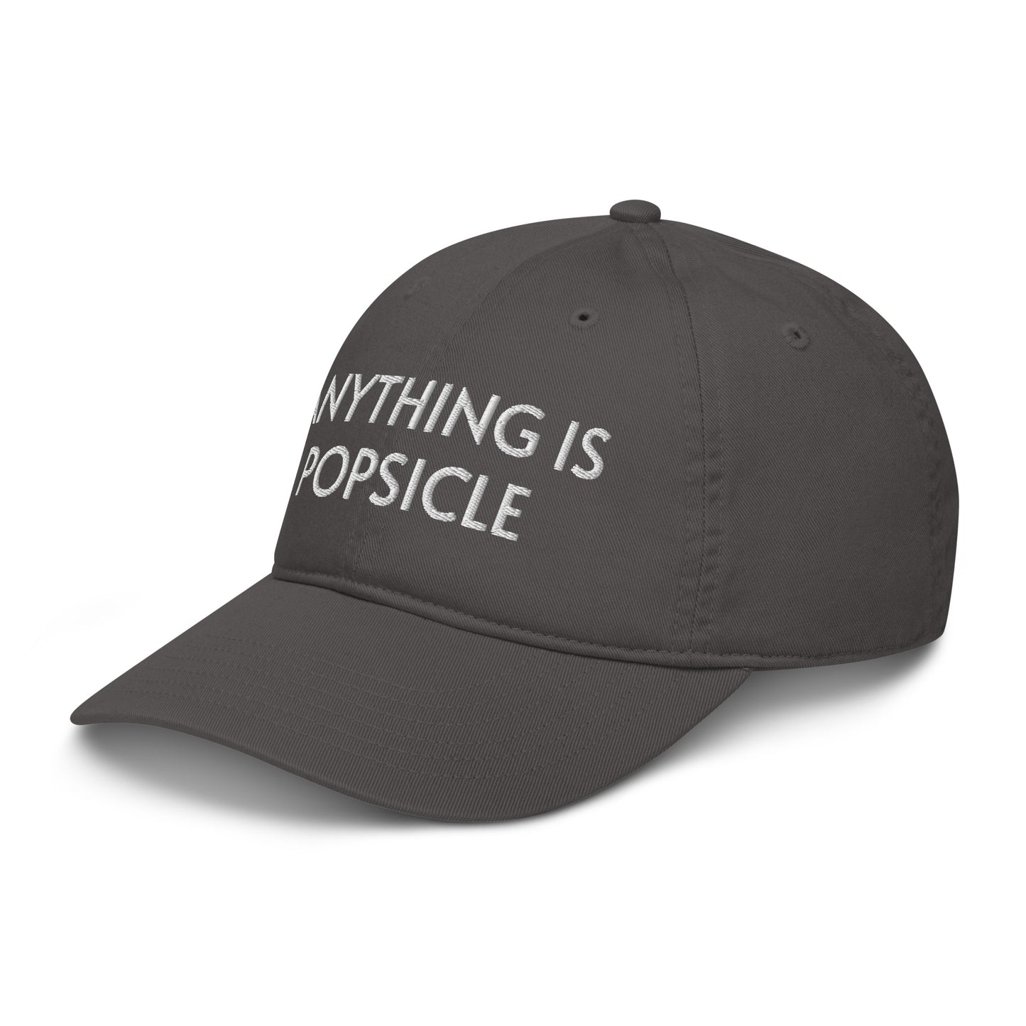 ANYTHING IS POPSICLE ORGANIC HAT