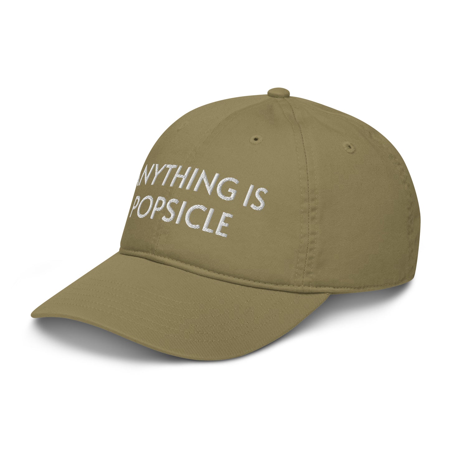 ANYTHING IS POPSICLE ORGANIC HAT