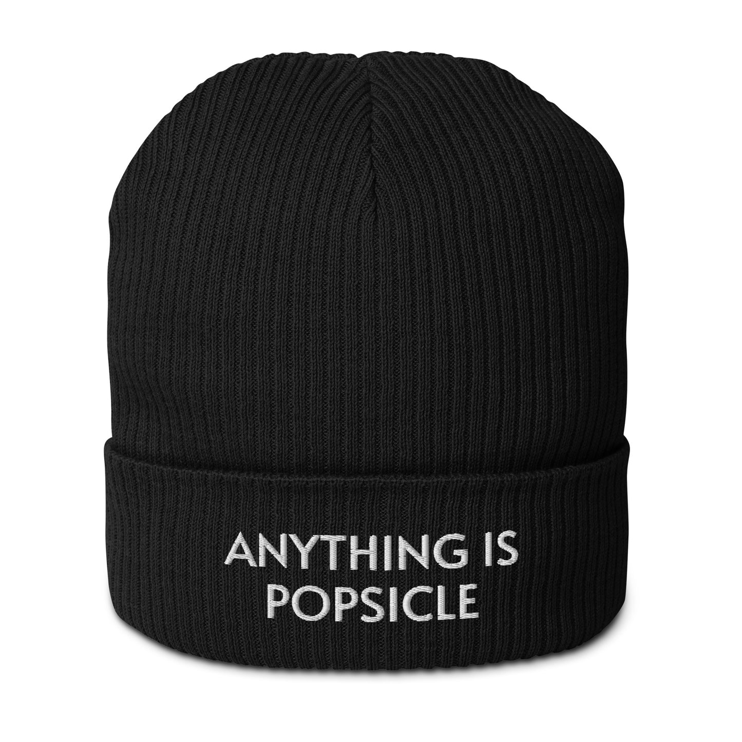 ANYTHING IS POPSICLE ORGANIC BEANIE