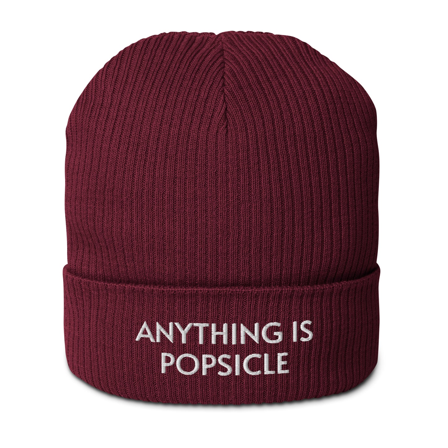 ANYTHING IS POPSICLE ORGANIC BEANIE