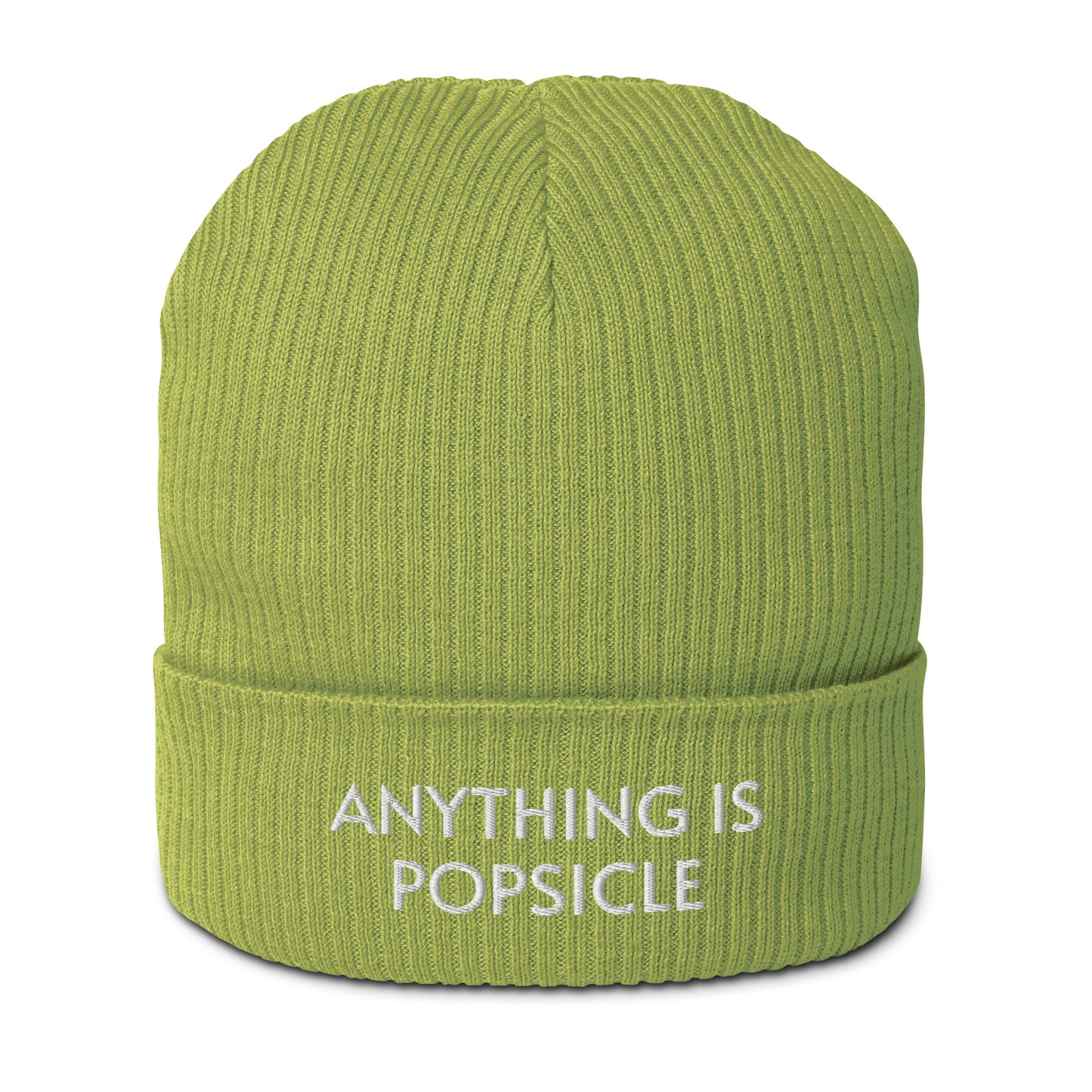 ANYTHING IS POPSICLE ORGANIC BEANIE