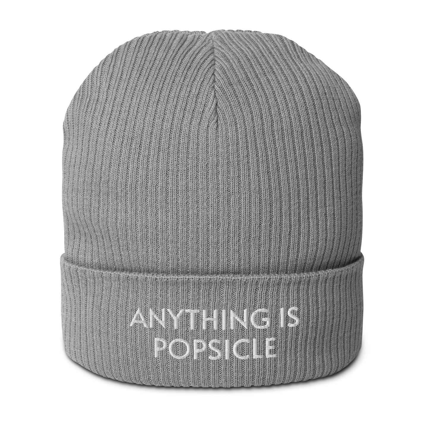 ANYTHING IS POPSICLE ORGANIC BEANIE