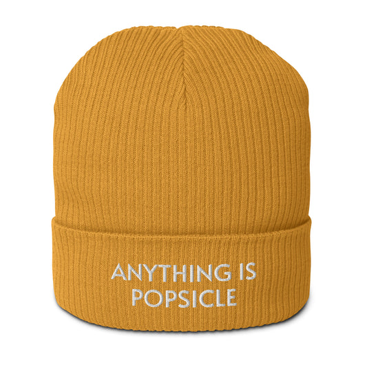 ANYTHING IS POPSICLE ORGANIC BEANIE