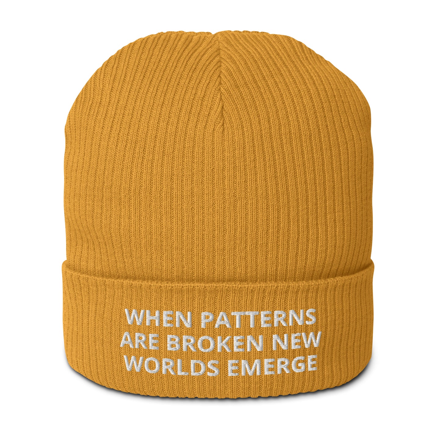 WHEN PATTERNS ARE BROKEN, NEW WORLDS EMERGE Organic ribbed beanie