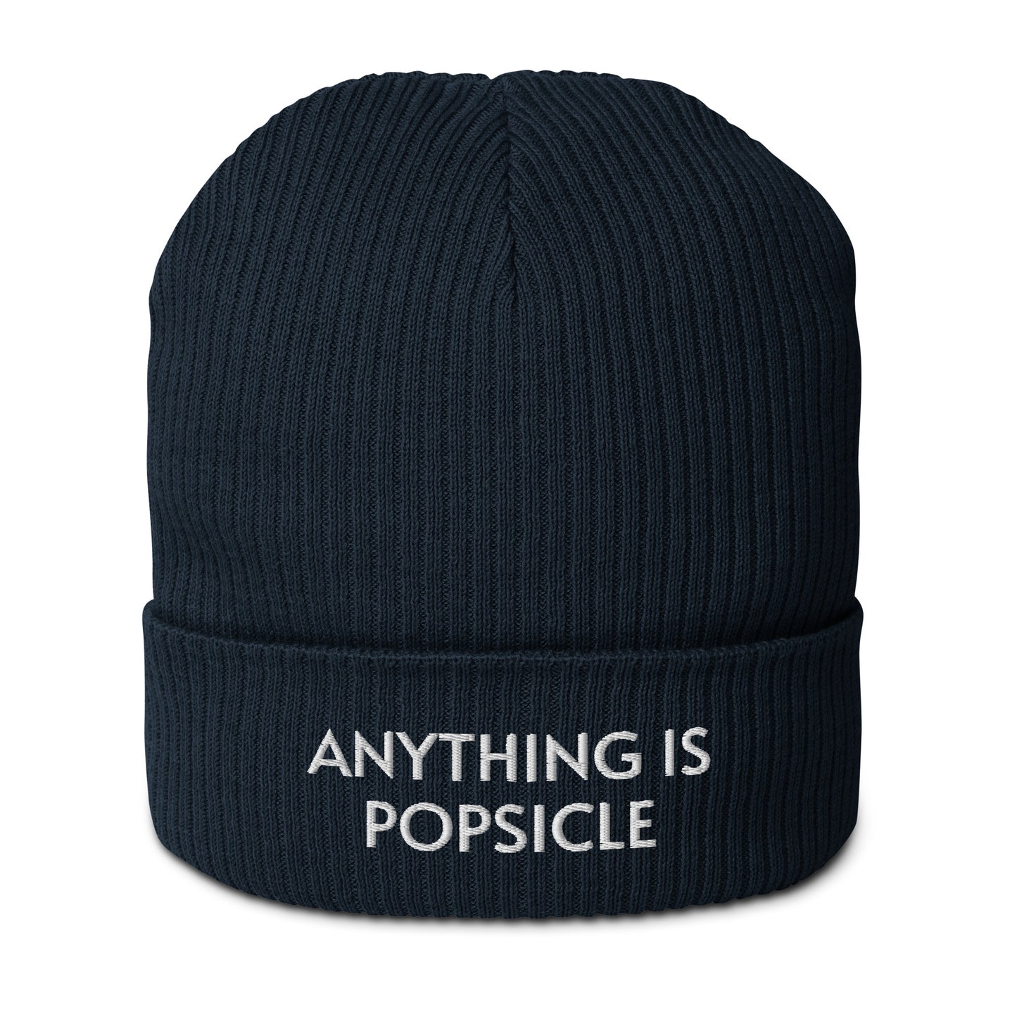 ANYTHING IS POPSICLE ORGANIC BEANIE